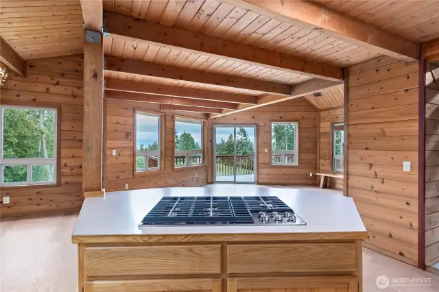 Such a gorgeous view in this work space, with ample room for all your needs. Brand new propane cooktop.