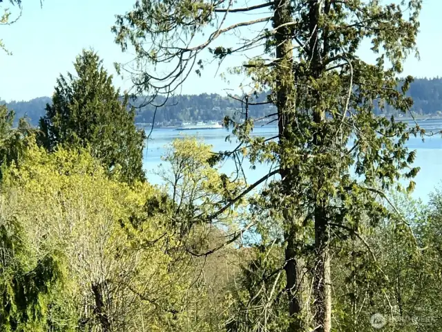 Beautiful views from the kitchen. Easily clear more trees for even better ones.