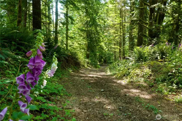 Featuring scenic walking, biking, and ATV trails that begin in the beautifully landscaped backyard—complete with hidden bench seating and blooming wildflowers—before winding into the forested section and branching into multiple paths through the woods. These private trails also connect directly to nearby trail systems, including Ollie State Park, the Iron Horse/Palouse to Cascades Trail, the Snoqualmie Valley Trail, and Rattlesnake Lake, offering endless outdoor adventure right from your doorstep.