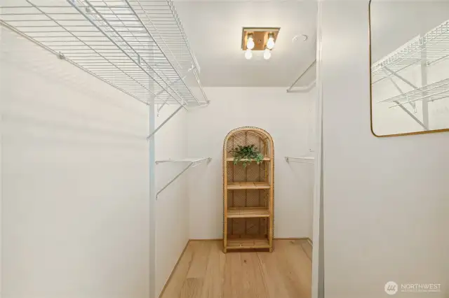 Primary br walk in closet, there is also a second closet.