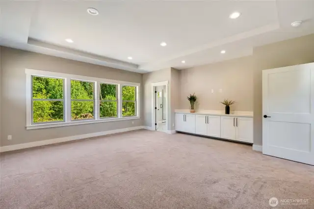 Master bedroom with built-in cabinets