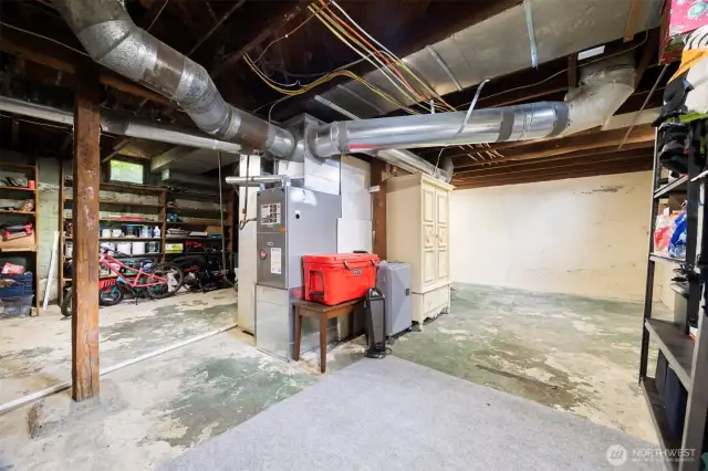 Another view of the additional space in the basement.  There is some untapped value in this space that you will find invaluable for storage of extra living space. Whatever your imagination wants to create awaits you.