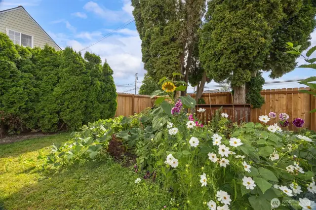 Garden patch has previously sported an amazing pumpkin patch. There is some fertile soil awaiting your planting dreams.