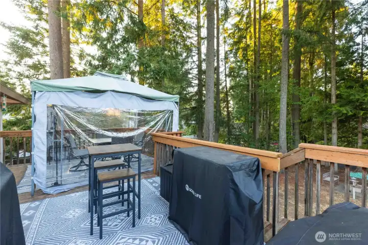 Back Patio