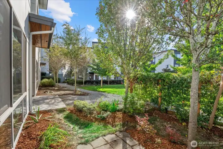 A small yard to enjoy.