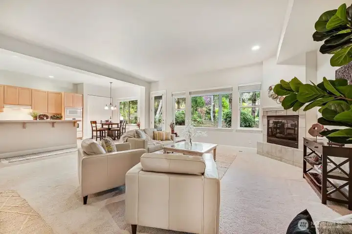 Windows from living room and kitchen are open to backyard setting