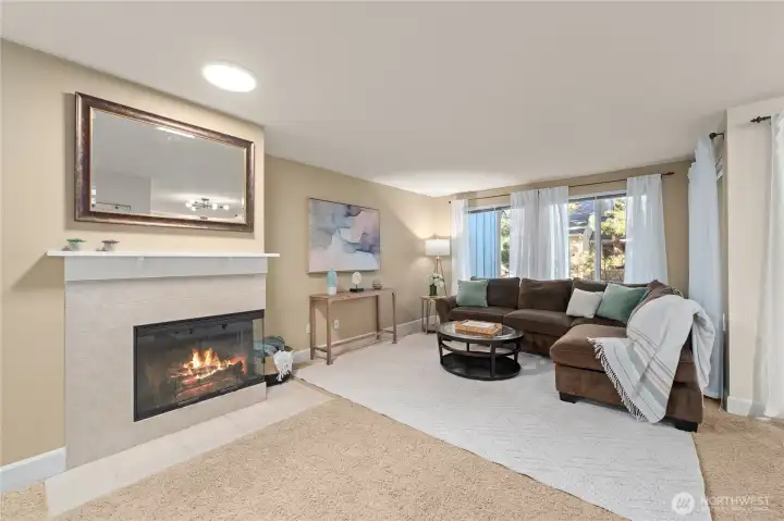 Wood burning fireplace