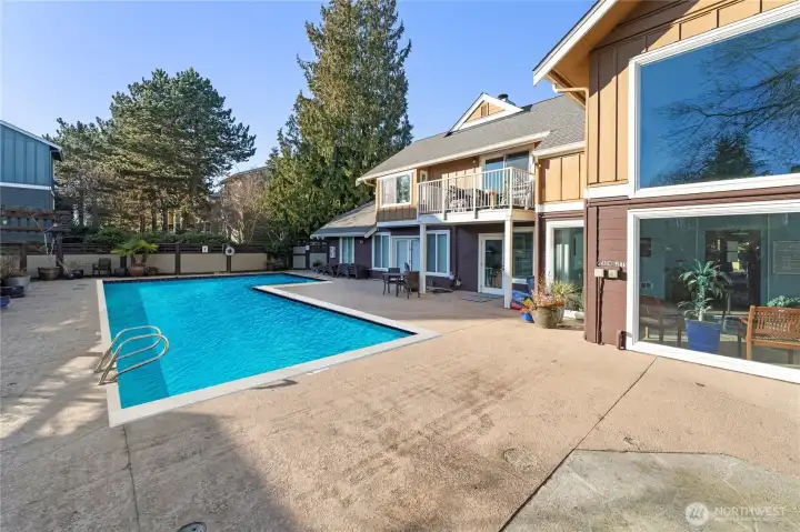 The best pool in North Seattle!