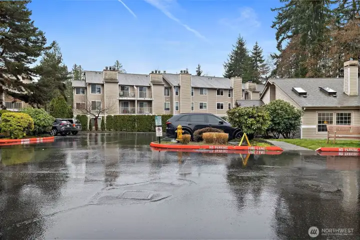 Multi-story residential community surrounded by mature evergreen trees, with on-site parking and well-maintained common grounds.