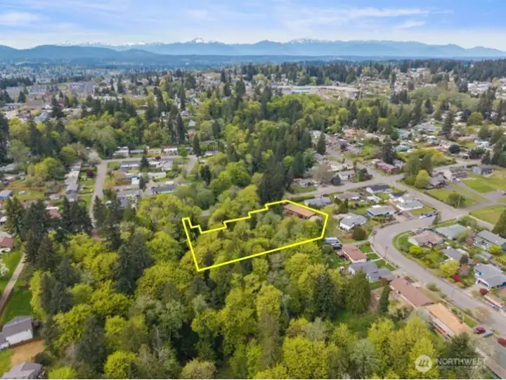 With the Olympic Mountains in the distance, there’s a quiet kind of beauty here that’s hard to put into words. And your very own forest, along with all the privacy, becomes part of your everyday world.