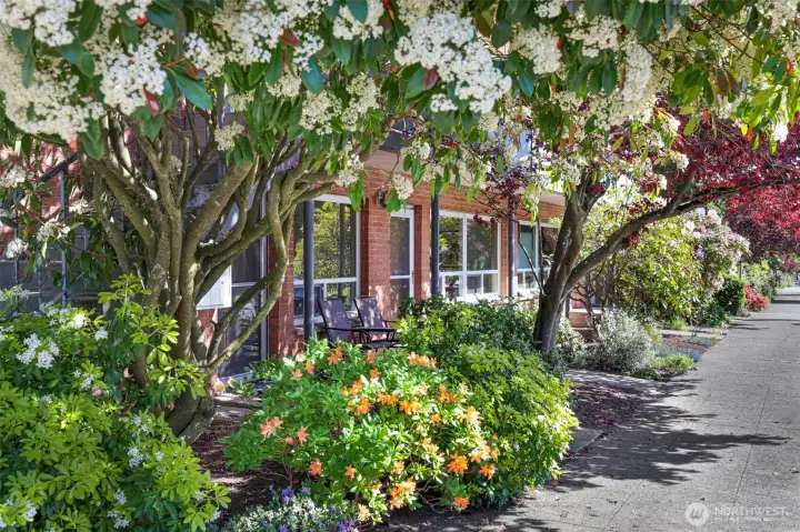 Affordable co-op living is where it's at!