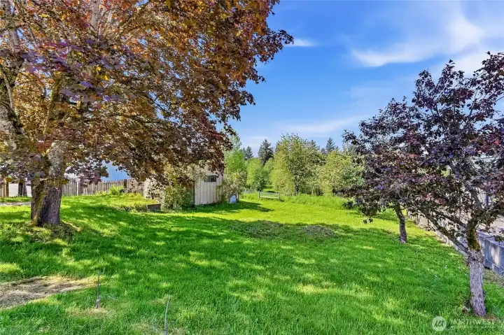 First view of the back yard. It goes beyond that first bit of wooden fence. Bring your boots to walk all the way to the back of the property.