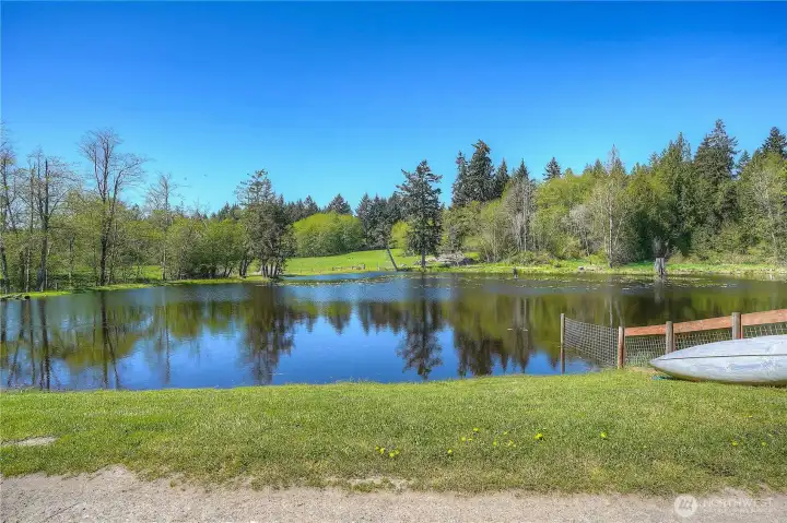 One of the 7 ponds spread out across this one of a kind property