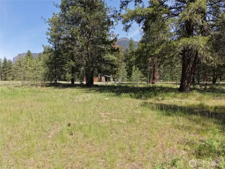 Welcome Mazama Meadows!