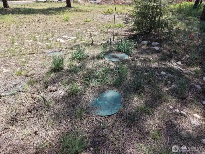Septic