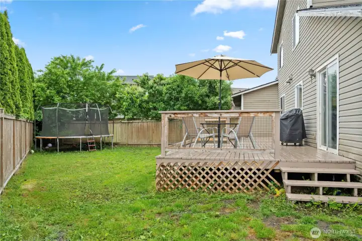 Backyard view.