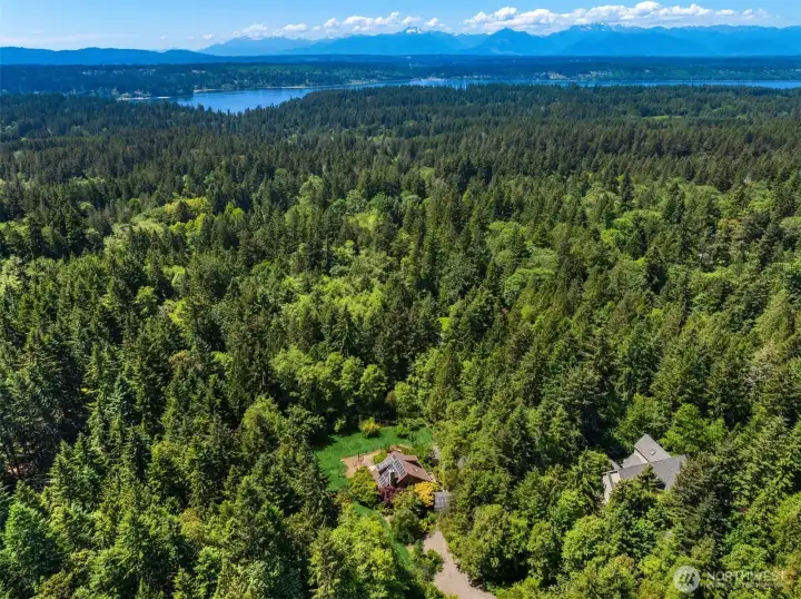 Aerial view showcasing the property's rare privacy and surrounding natural beauty.