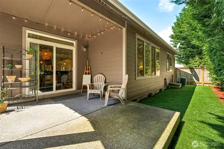 Low maintenance back yard with new turf