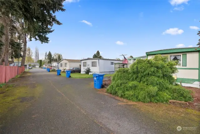 View of the park from the driveway facing South St