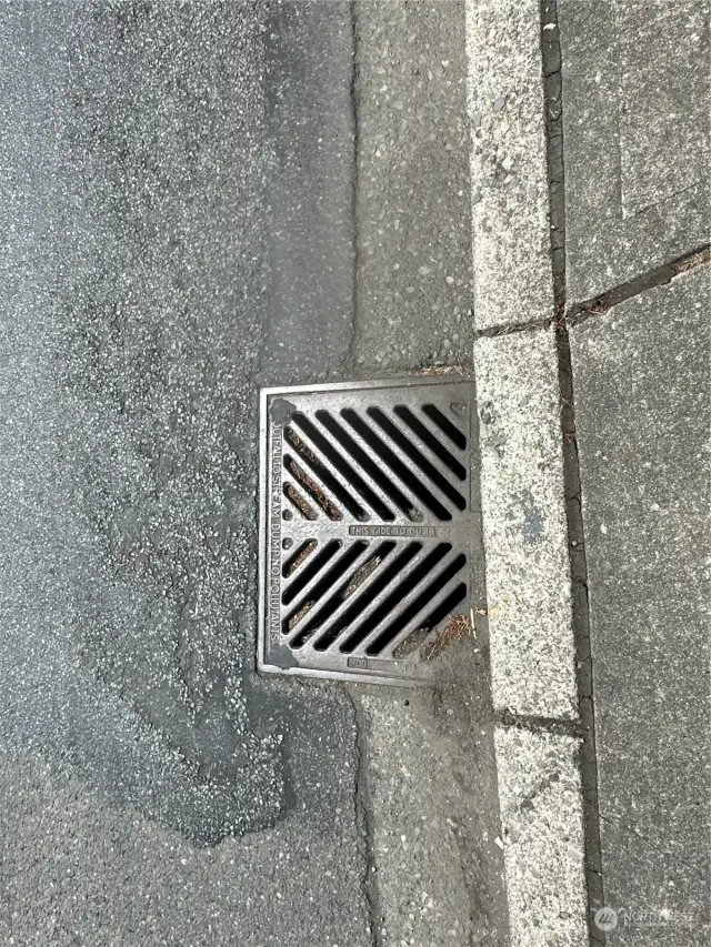 Storm drain