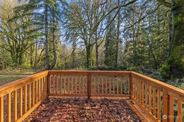 Beautiful cedar back deck to enjoy your summer and fall beverage