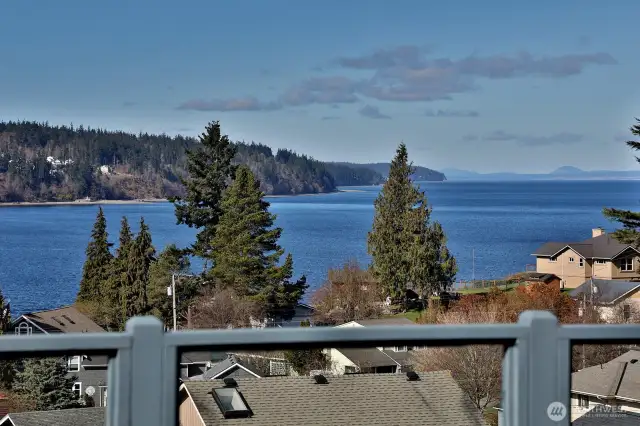 The Orcas and Gray Whales both visit this Harbor.
