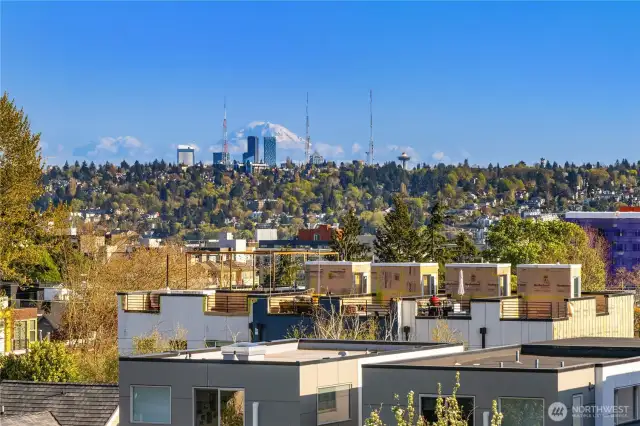 View of Seattle and Mountains from rooftop