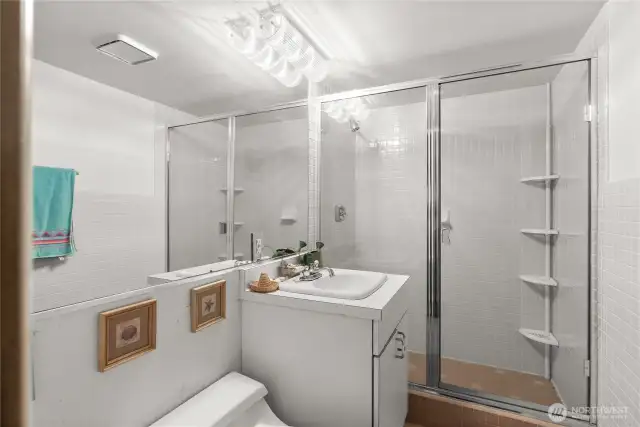 Basement bathroom
