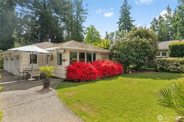 Front yard with mature landscaping