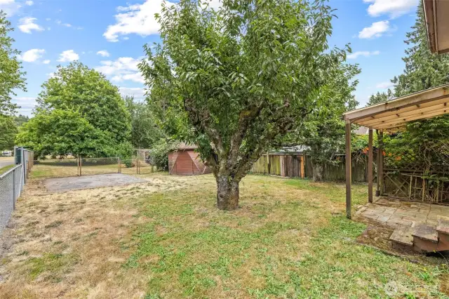 Large spacious level yard.