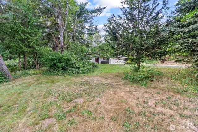 Front yard