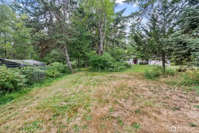 Front yard