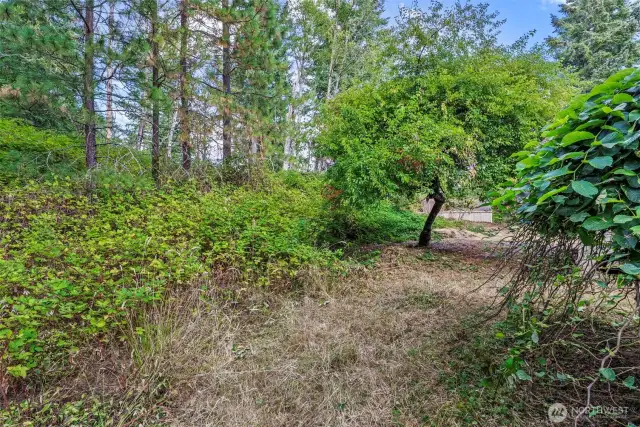 Side yard