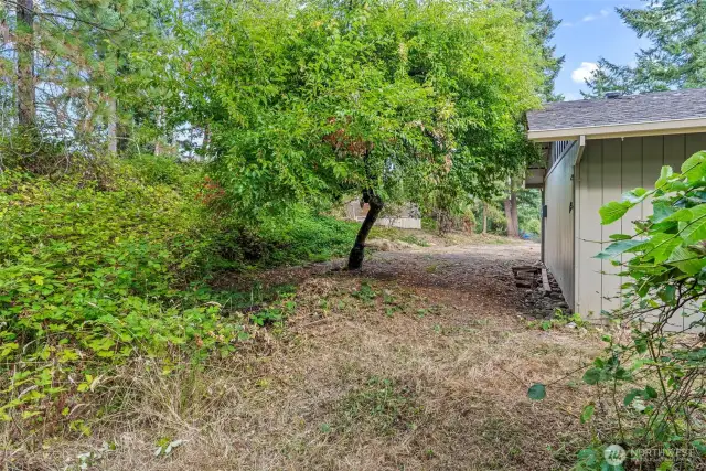 Side yard