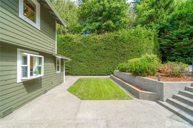 Lower lawn area