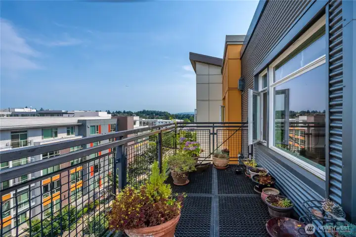 Beautiful wrap around deck
