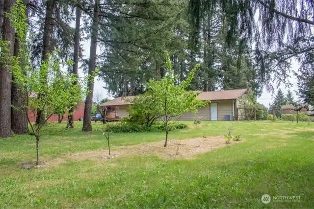 Fruit and flowering trees throughout the yard! Fruit and flowering trees throughout the yard!