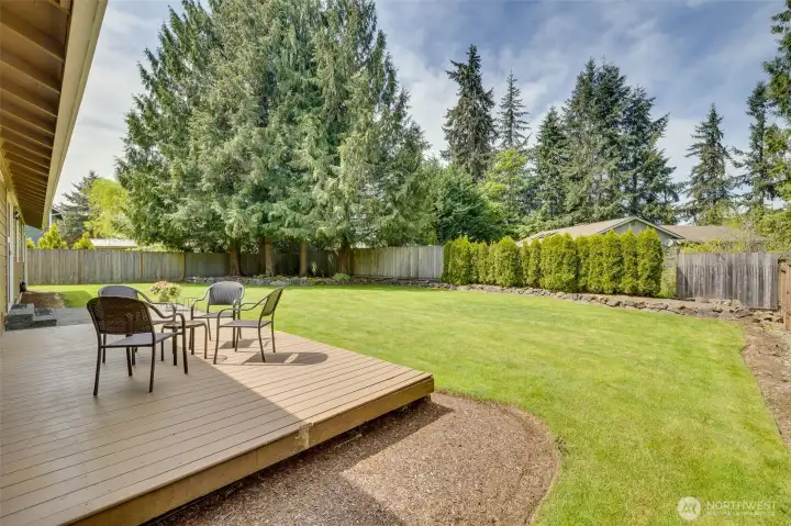 Back Deck