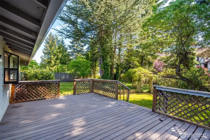 This backyard oasis awaits your dreams!