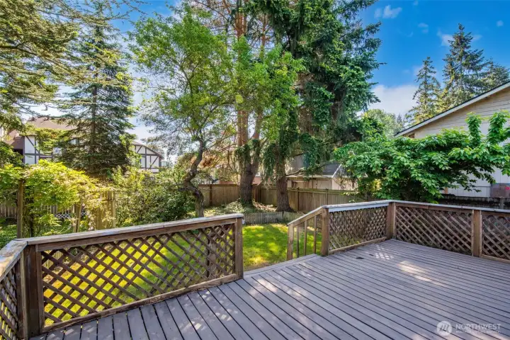 Mature landscaping and flowers brighten the backyard!