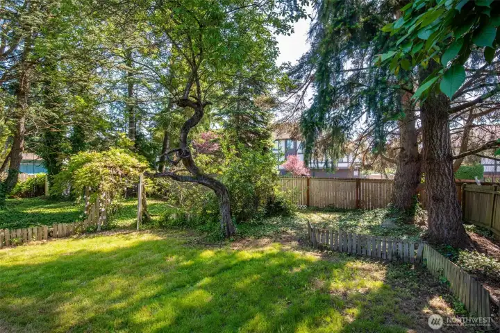 Another view of the quiet backyard.