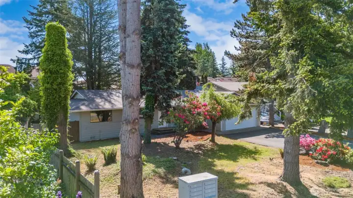 The large lot is a gardener's paradise!