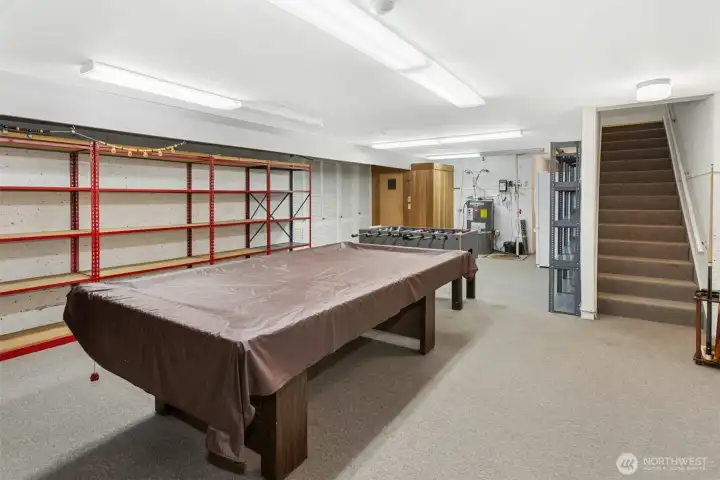 Lower level Recreational / Entertainment Room