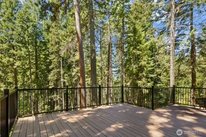 The elevated deck takes full advantage of the wooded setting while creating an inviting gathering space above. The elevated deck takes full advantage of the wooded setting while creating an inviting gathering space above.