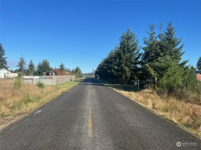 Looking North from the driveway