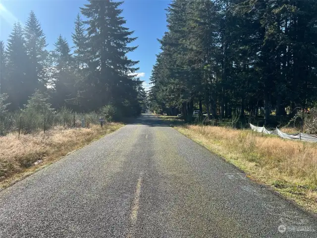 Looking South from the driveway