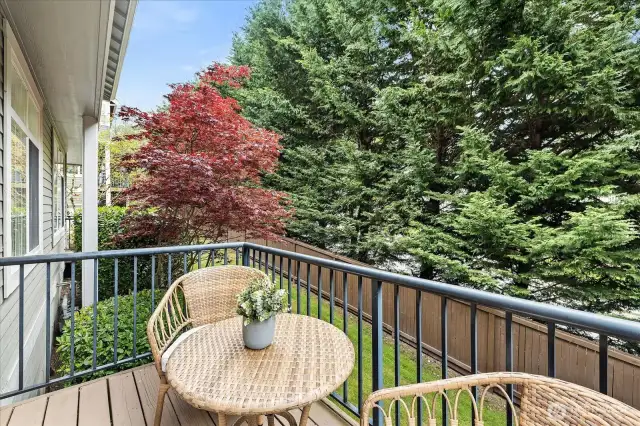 Great space for lounging or BBQs!