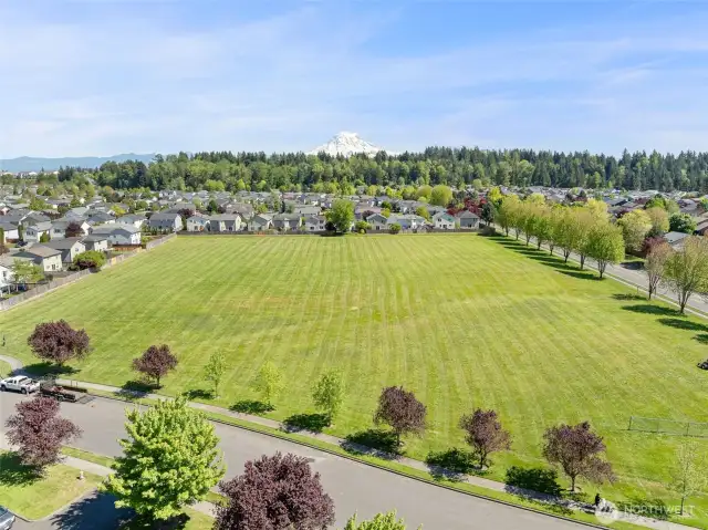 Neighborhood baseball diamond / large field