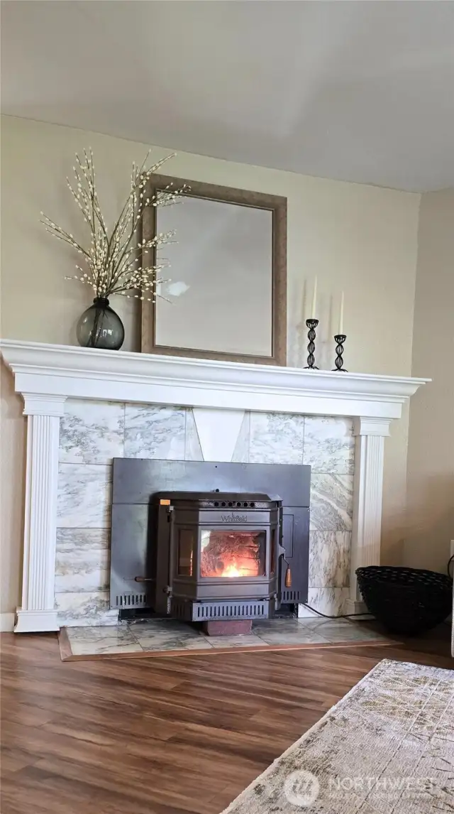 Enjoy the warmth and glow from the wood pellet stove