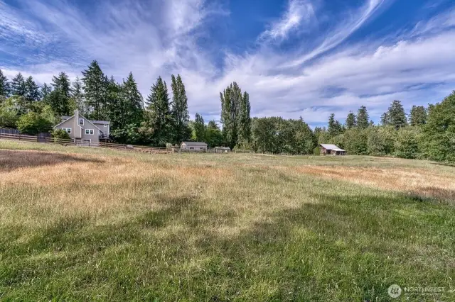 Looking north from the creek area.
